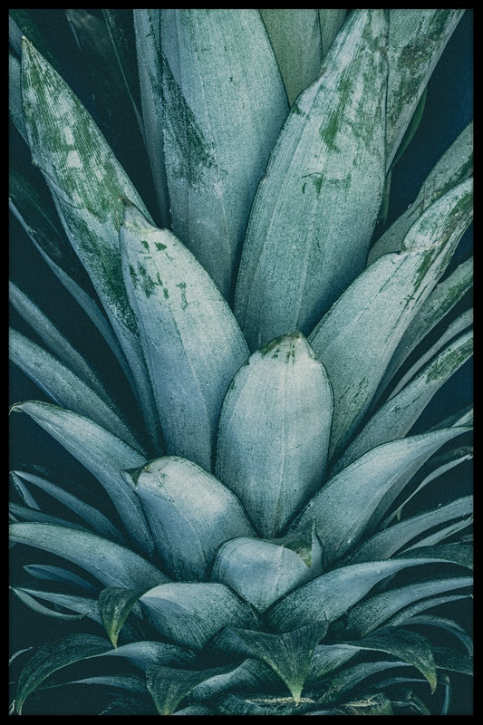  Ananas krone plakat