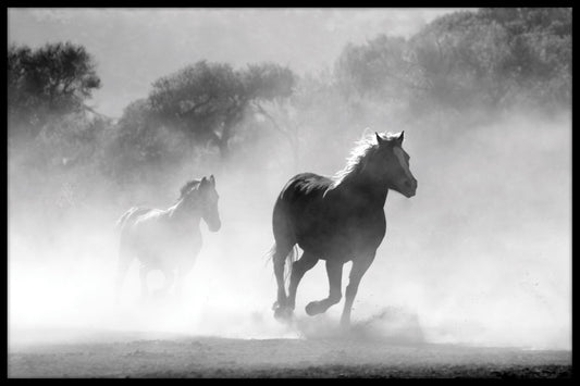  Hestebesætning tåge plakat