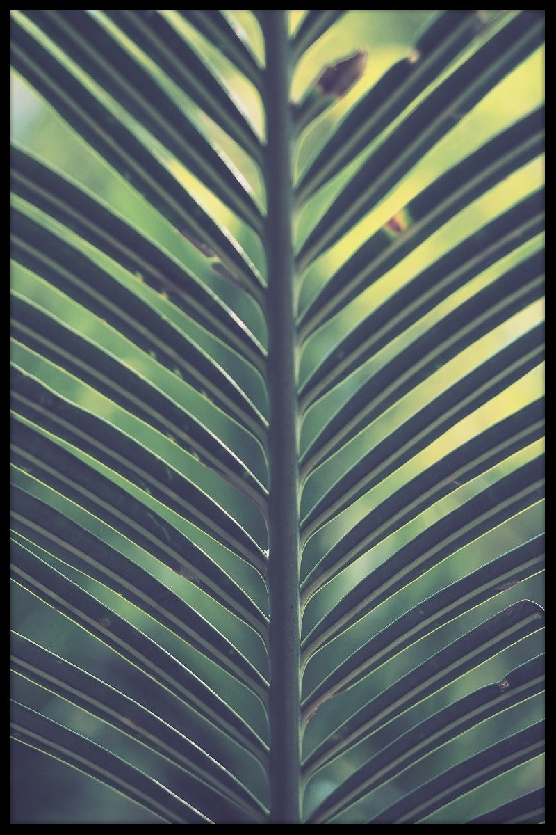  Palmeblad grøn gul plakat