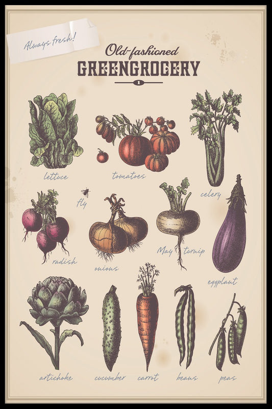  Grøntsagsbutikker
