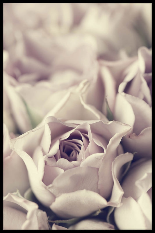  Vintage Pastell Rose plakat