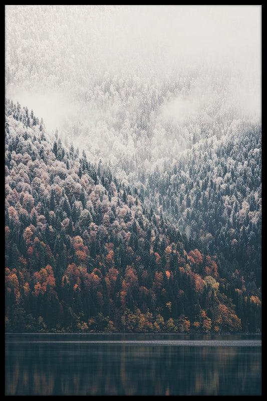  Dimmig Forest Lake plakat