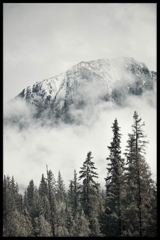  Banff Park plakat
