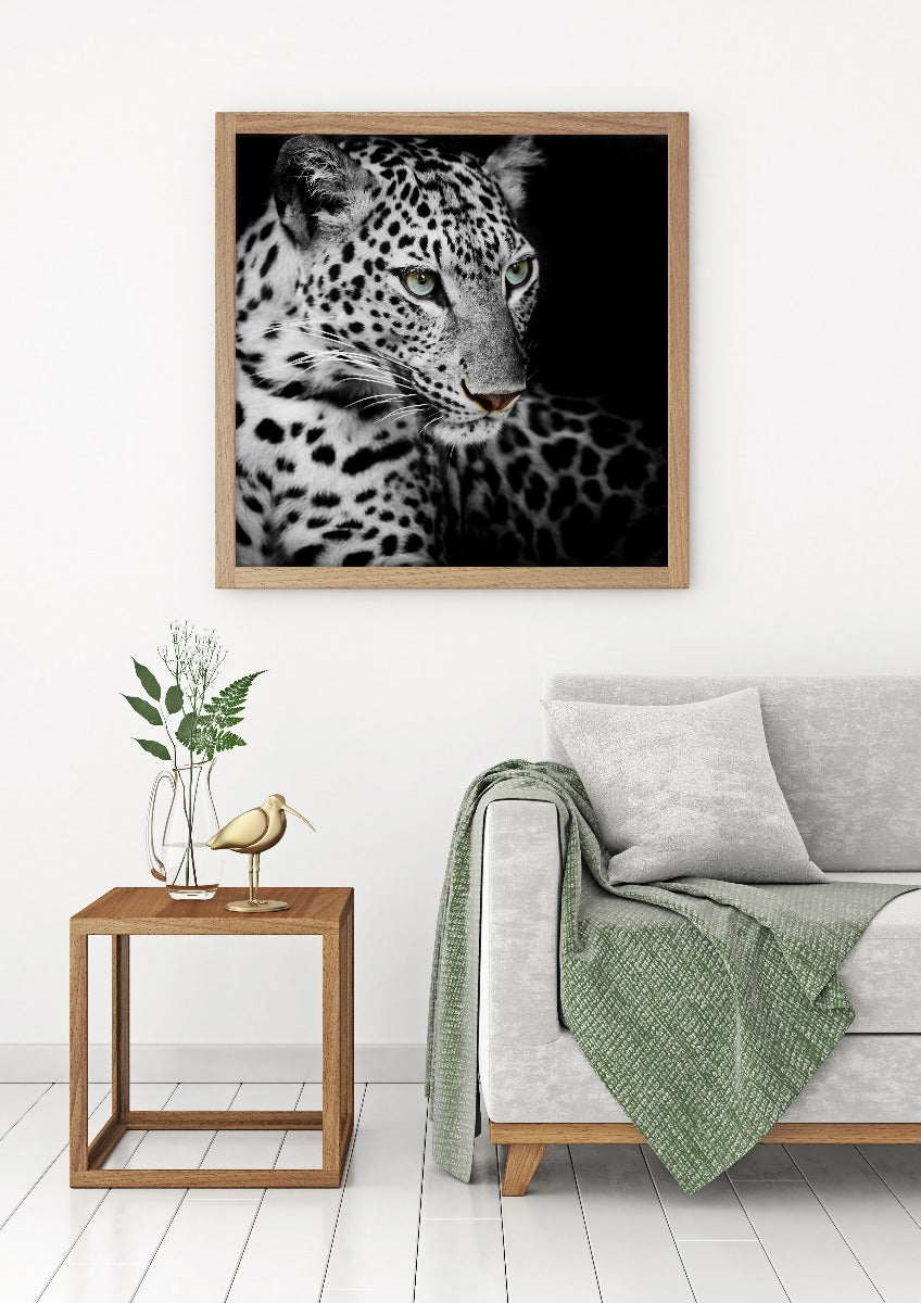  Leopard plakat