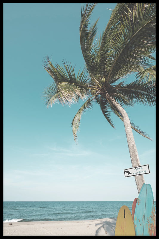  Surf Beach Palm plakat