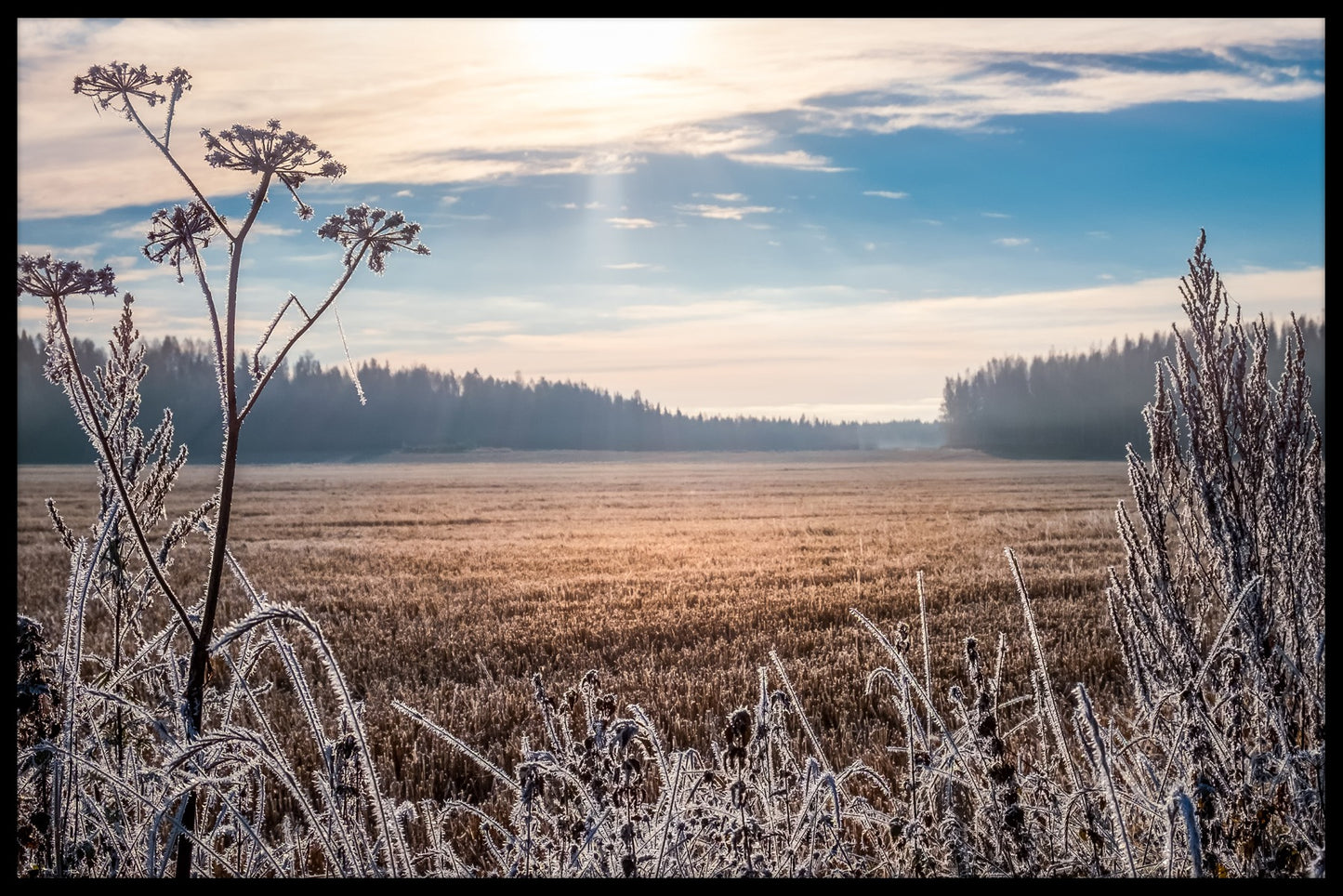  Frost landskab Finland plakat