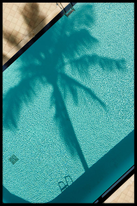  Palm Shadow plakat