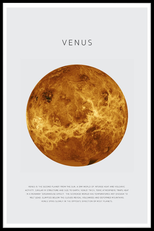  Venus plakater