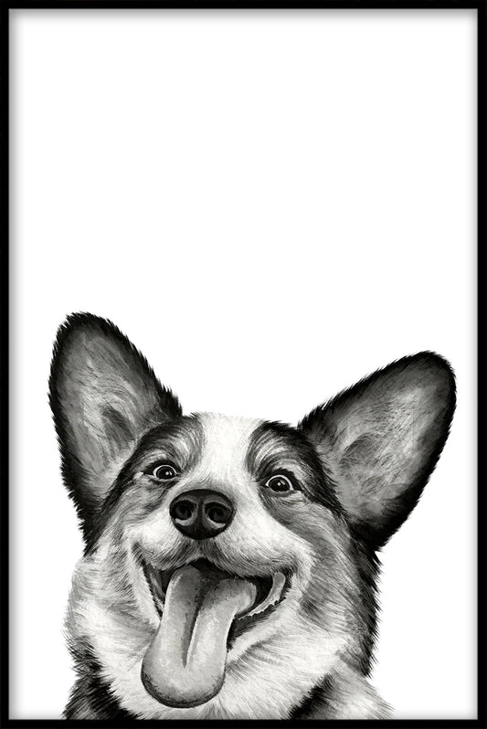  Corgi plakat