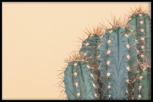  Cactus orange plakat