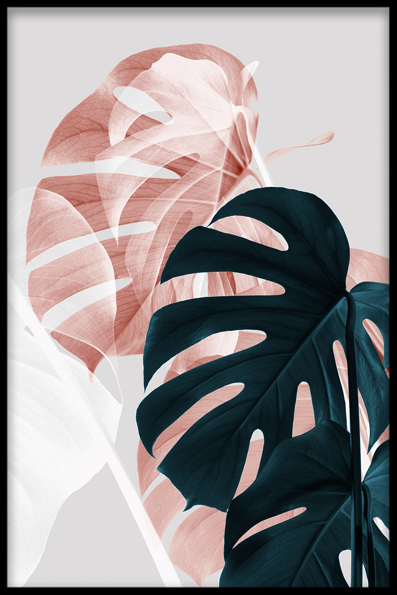  Abstrakt Monstera N02 plakat