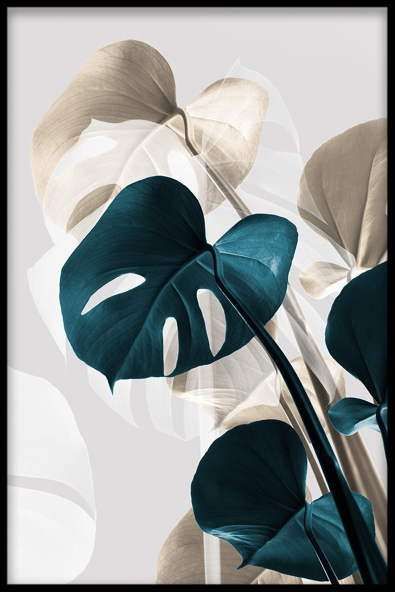  Abstrakt Monstera N03 plakat