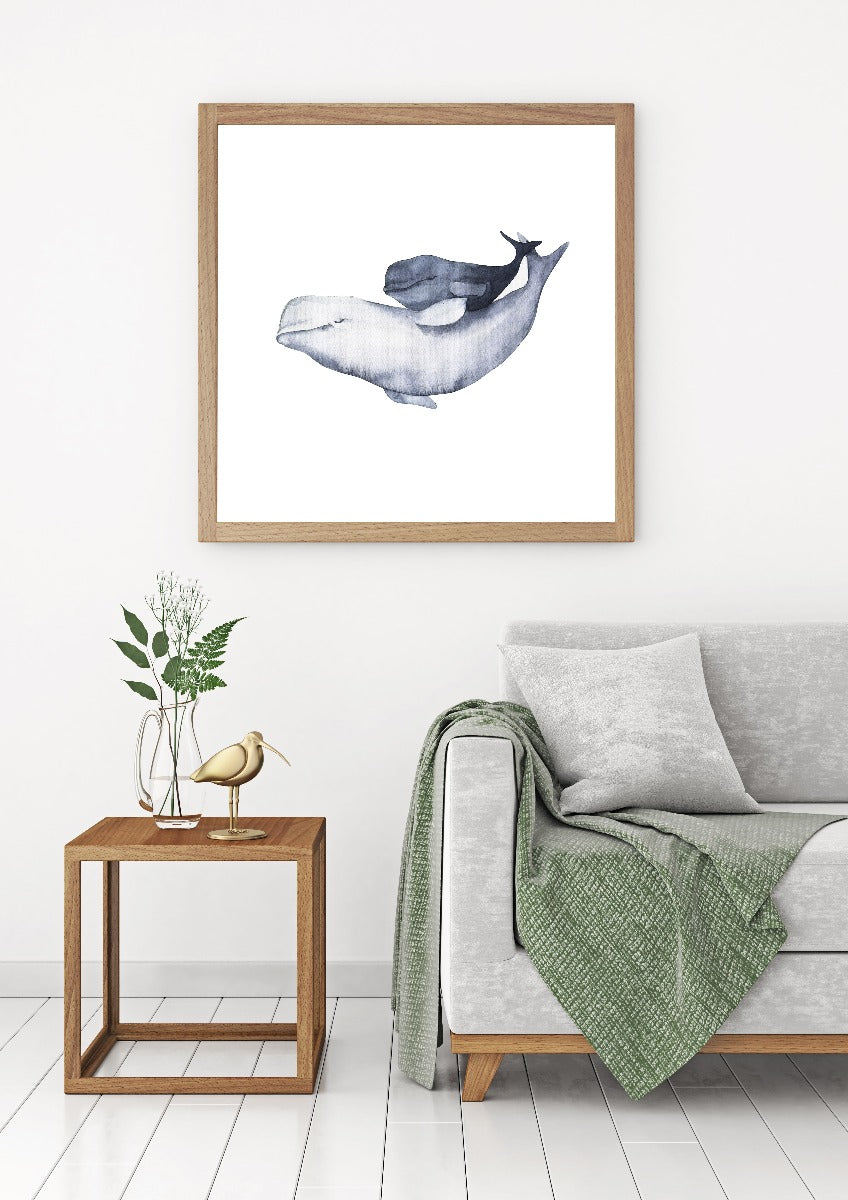 Akvarelplakater til hvidhvalfamilien